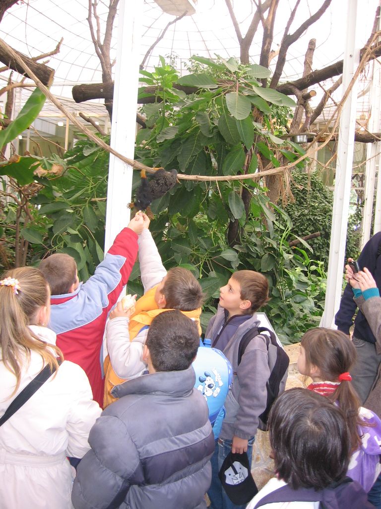 IMG 5742
