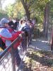 IMG 5751