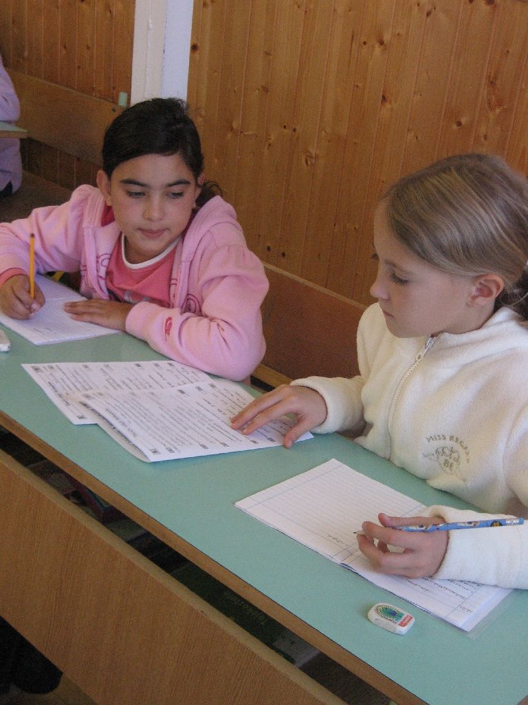 IMG 4533