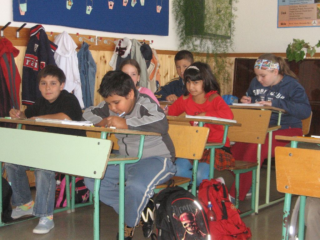 IMG 4553