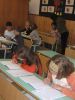 IMG 4531
