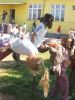 IMG 4576