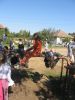 IMG 4582