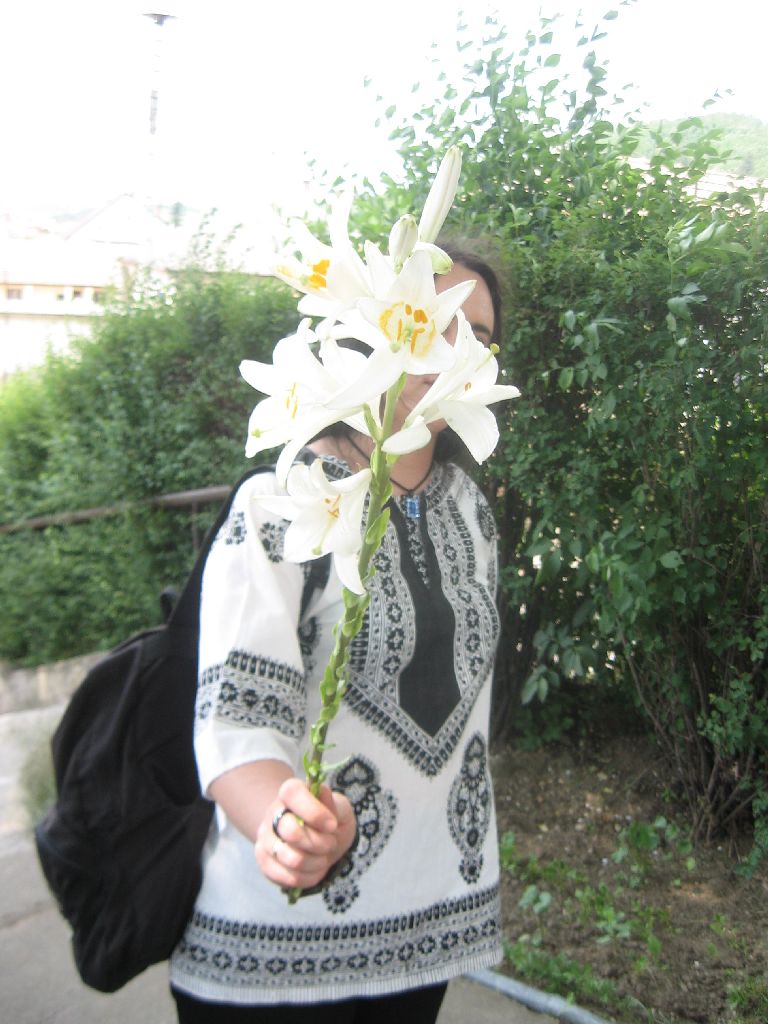IMG 1324