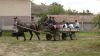 DSC01617