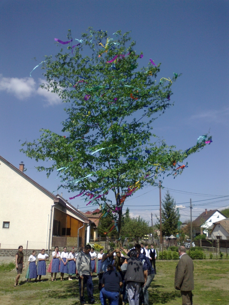 20140430207